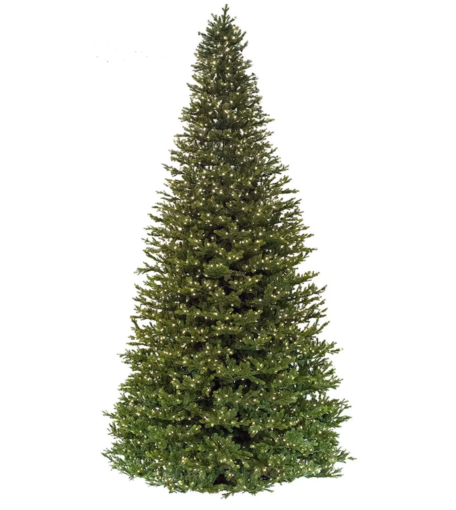 Shop Treetime 10' Midland Wexford Spruce - Clear LED