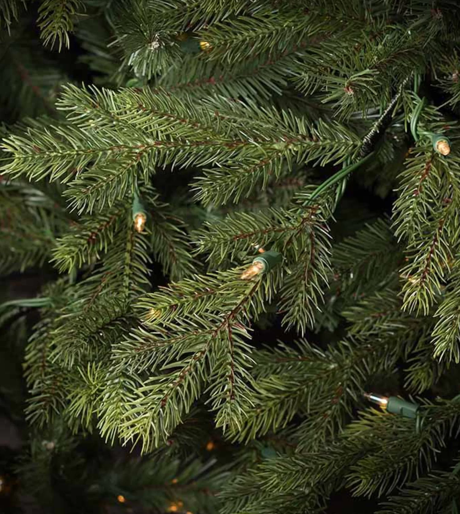 Shop Treetime 10' Midland Wexford Spruce - Clear LED