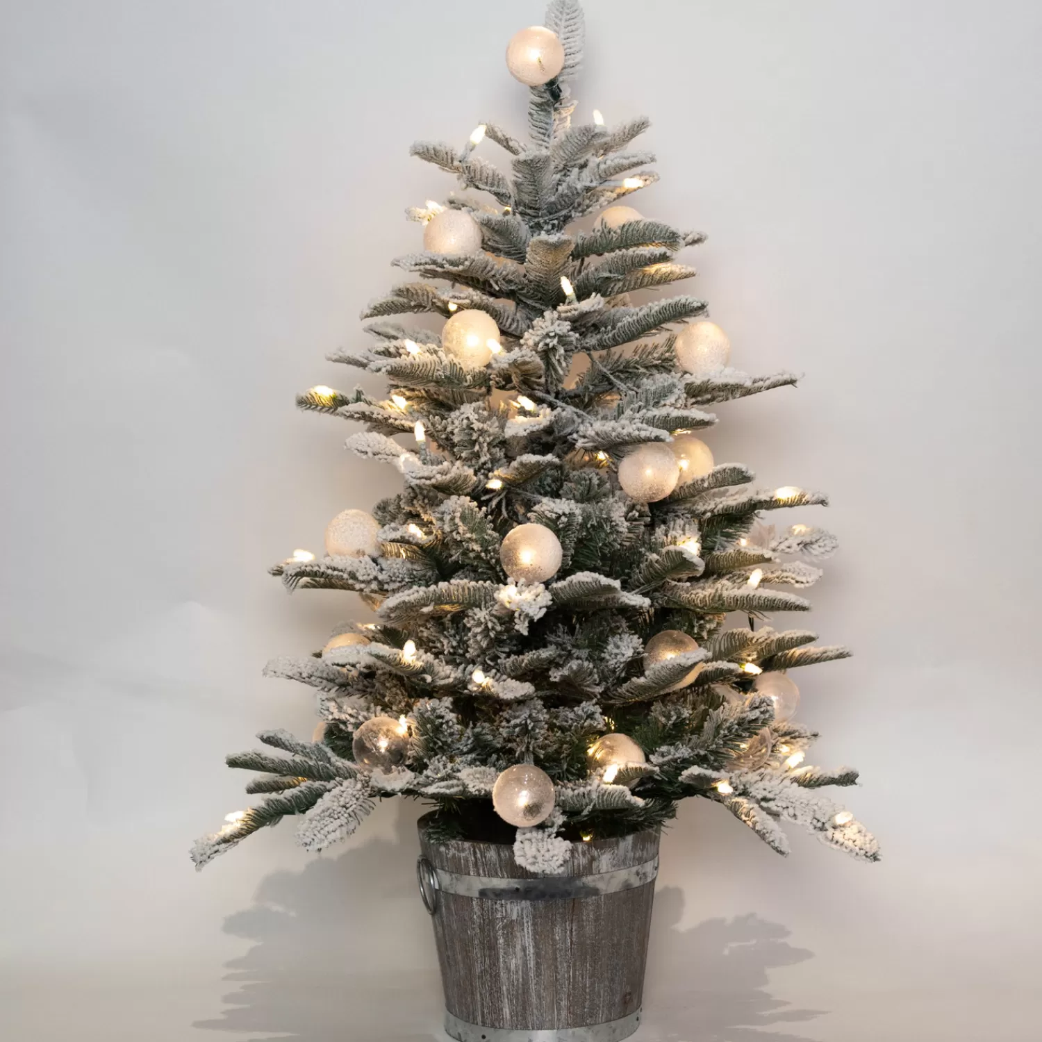 Discount Treetime 3' Anaheim Fir Potted Tree - Clear LED ColorChange Lights