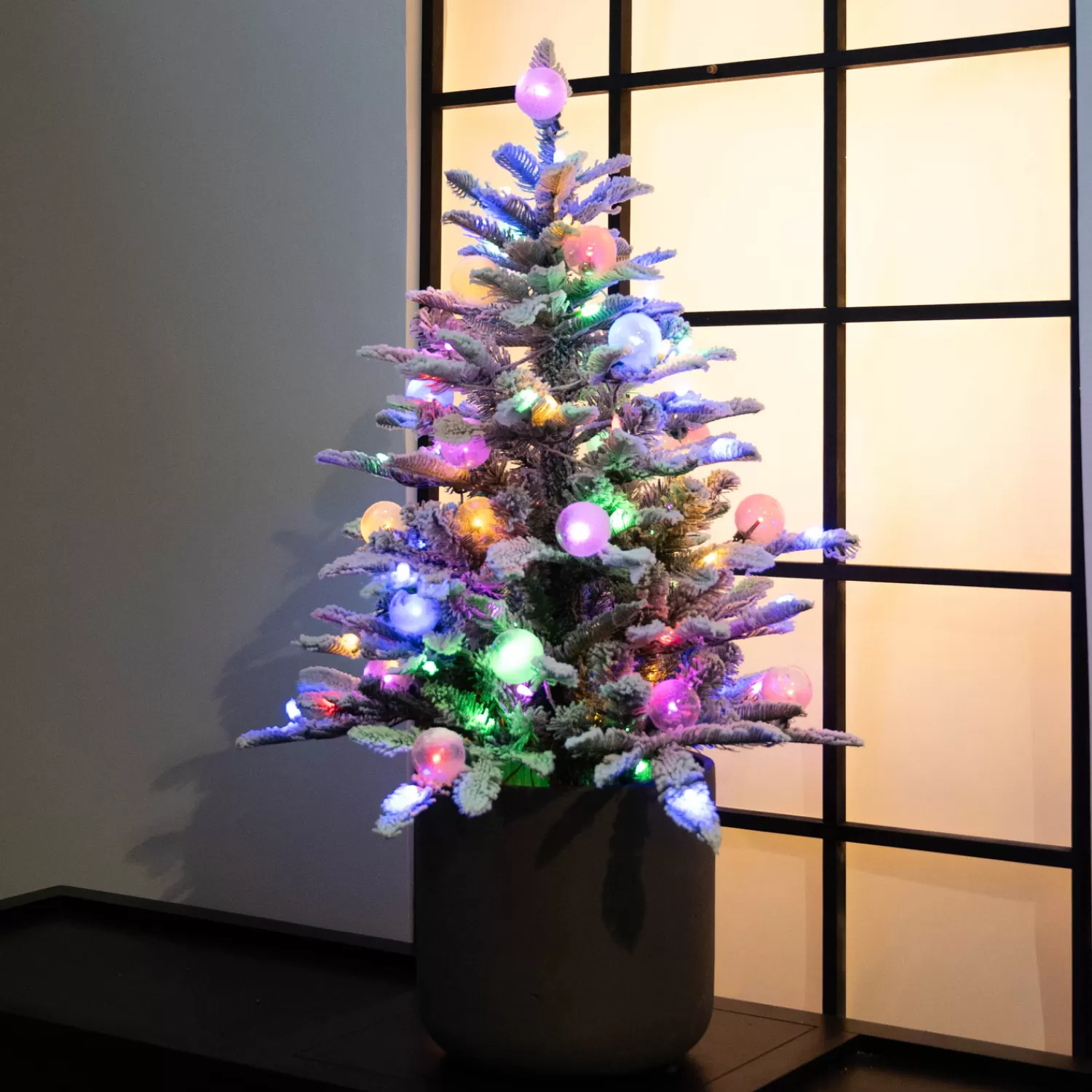 Discount Treetime 3' Anaheim Fir Potted Tree - Clear LED ColorChange Lights