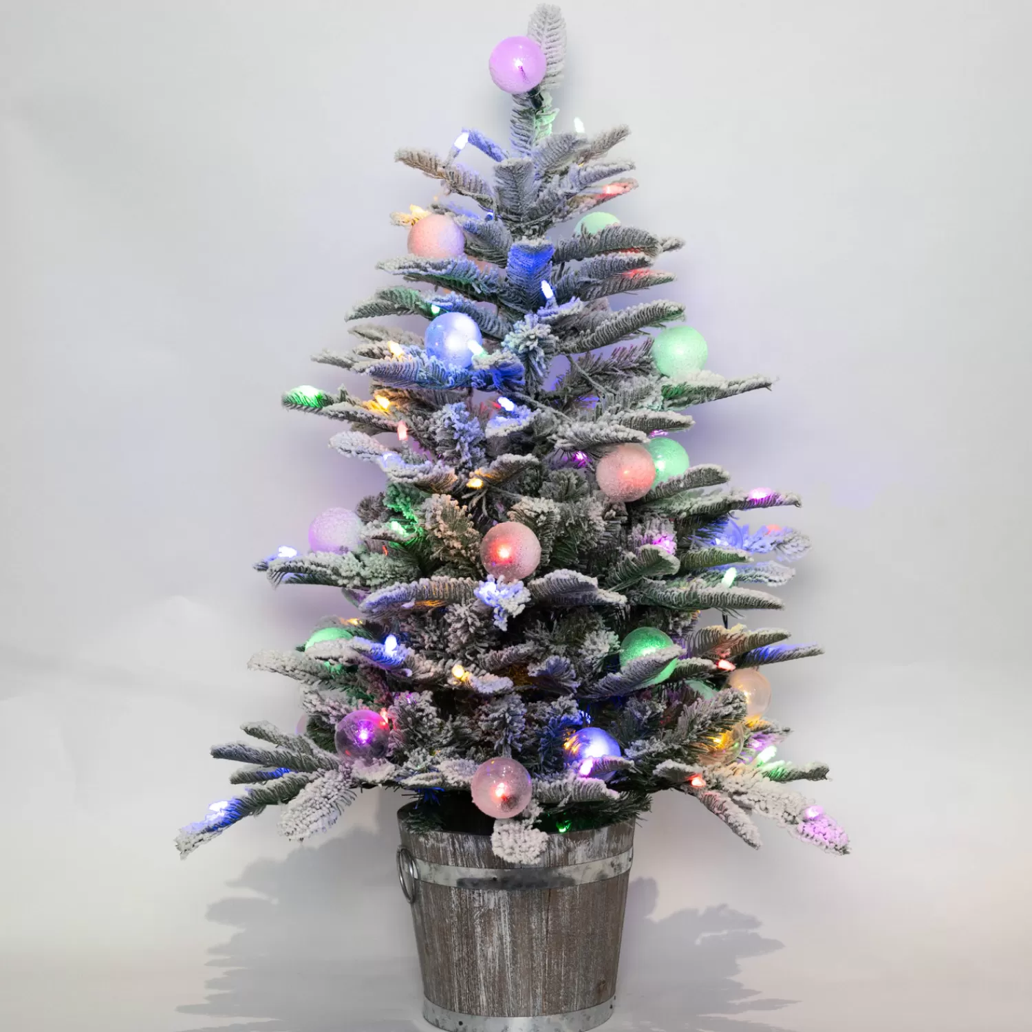 Discount Treetime 3' Anaheim Fir Potted Tree - Clear LED ColorChange Lights