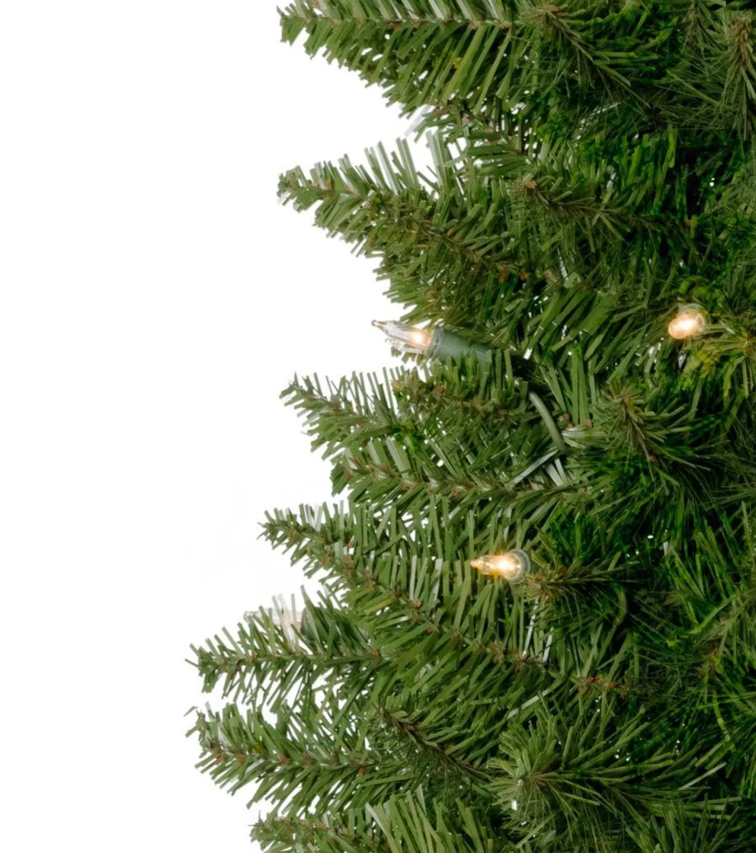 Clearance Treetime 3' Arrow Spruce Tree - Clear