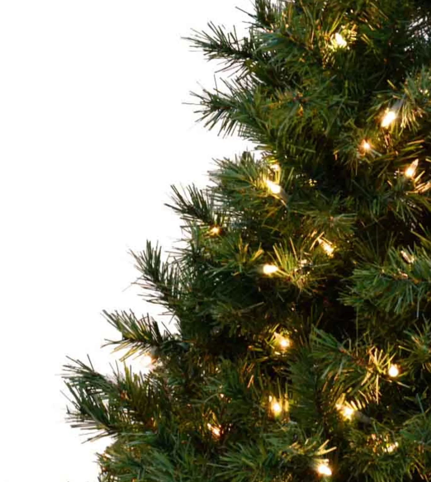 New Treetime 3' Colorado Spruce Tree Multi