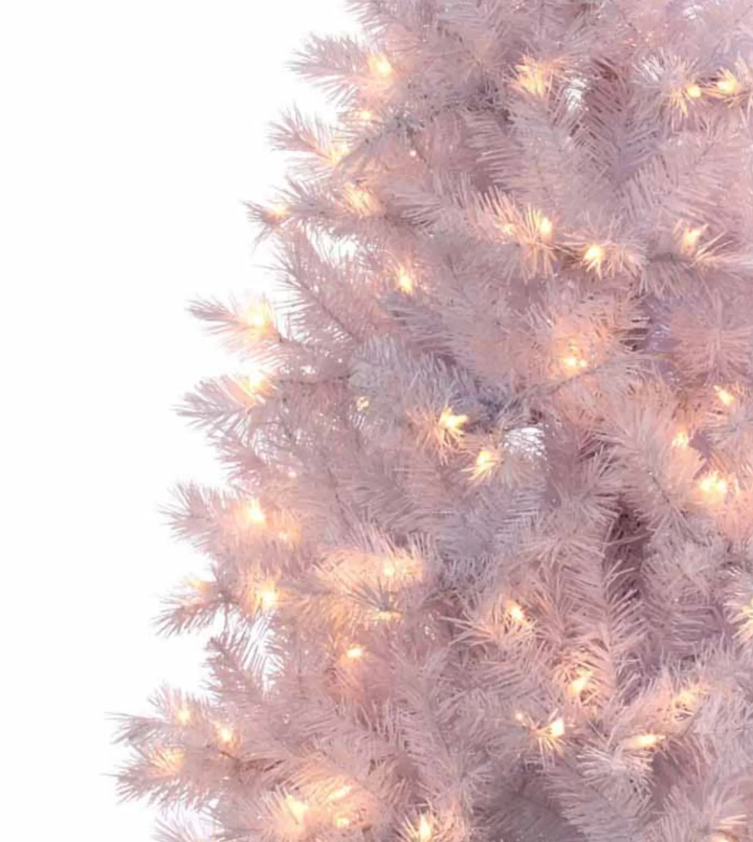 Cheap Treetime 4' White Colorado Spruce Tree Clear