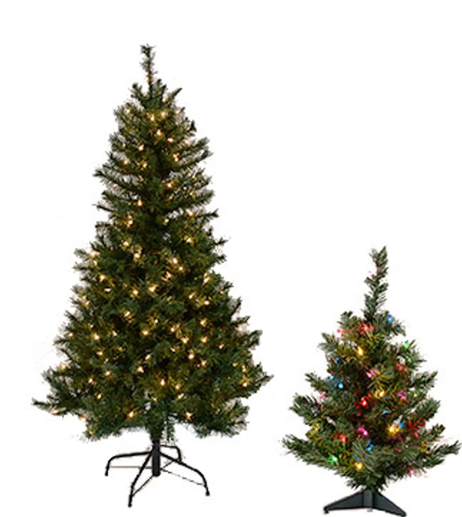 Flash Sale Treetime 5' Colorado Spruce Tree - Multi