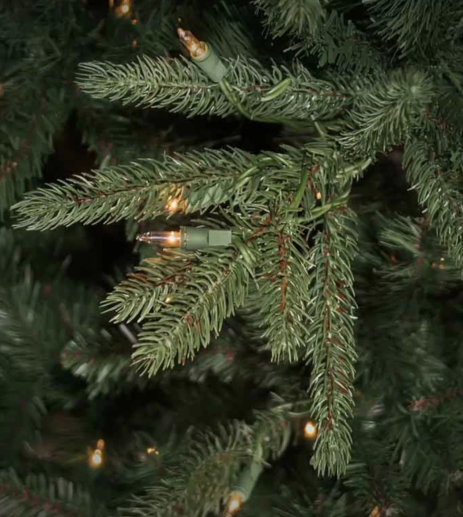 Shop Treetime 5' Stockton Spruce Tree - Unlit