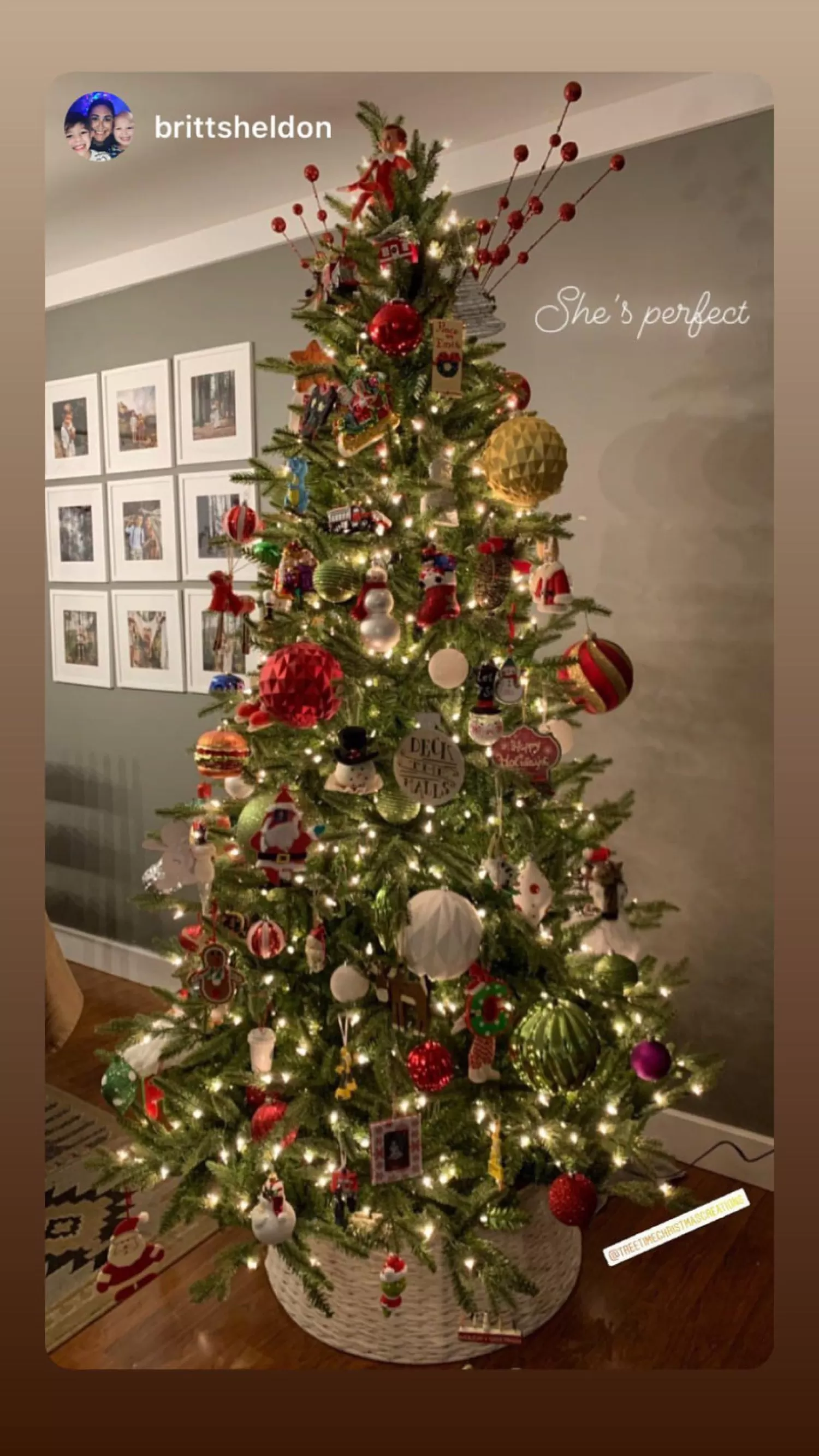 Shop Treetime 6.5' Sierra Mountain Spruce Tree - ColorChange LED
