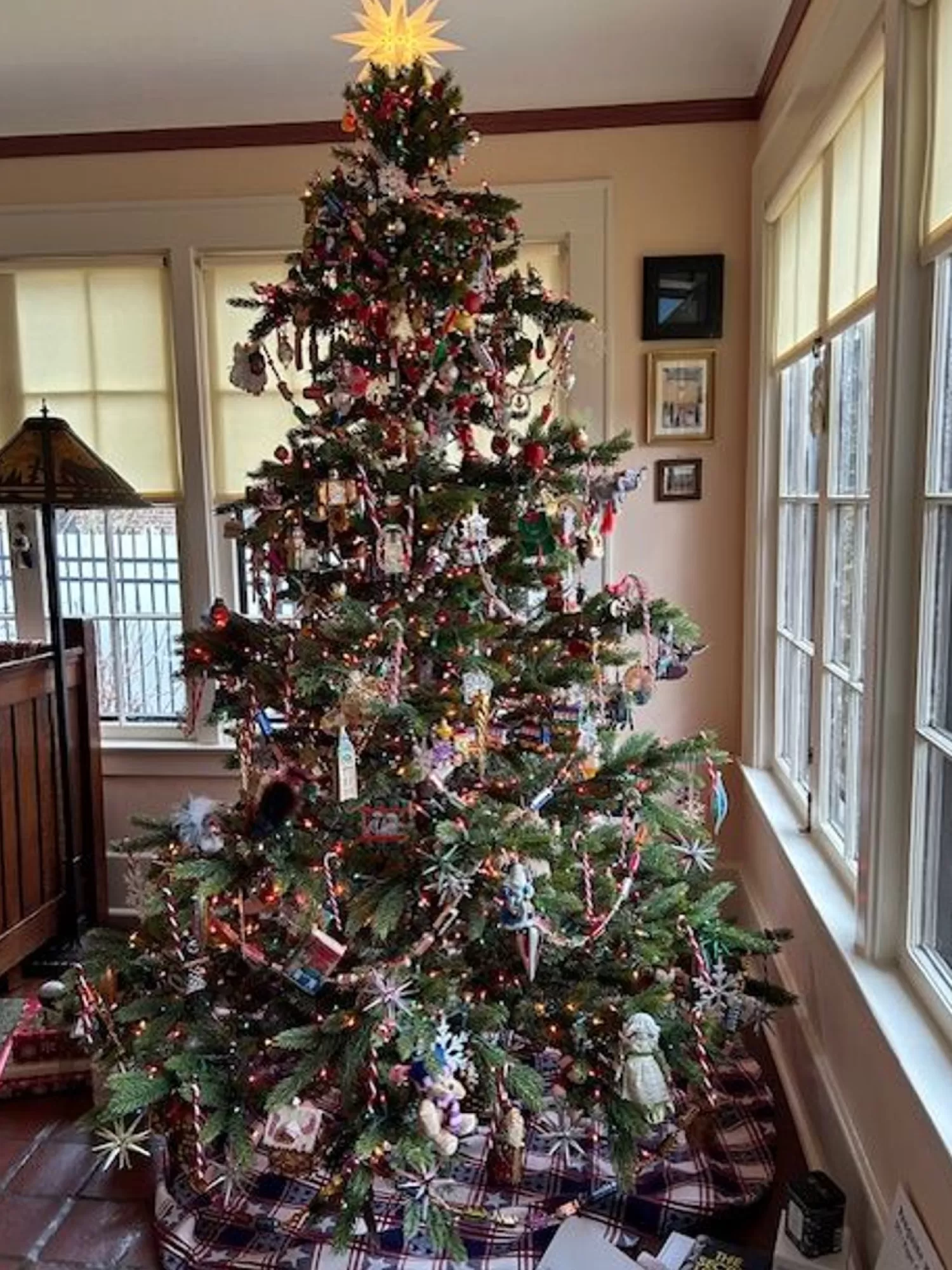 Best Sale Treetime 7.5' New Haven Fir W/PP Tree - ColorChange LED