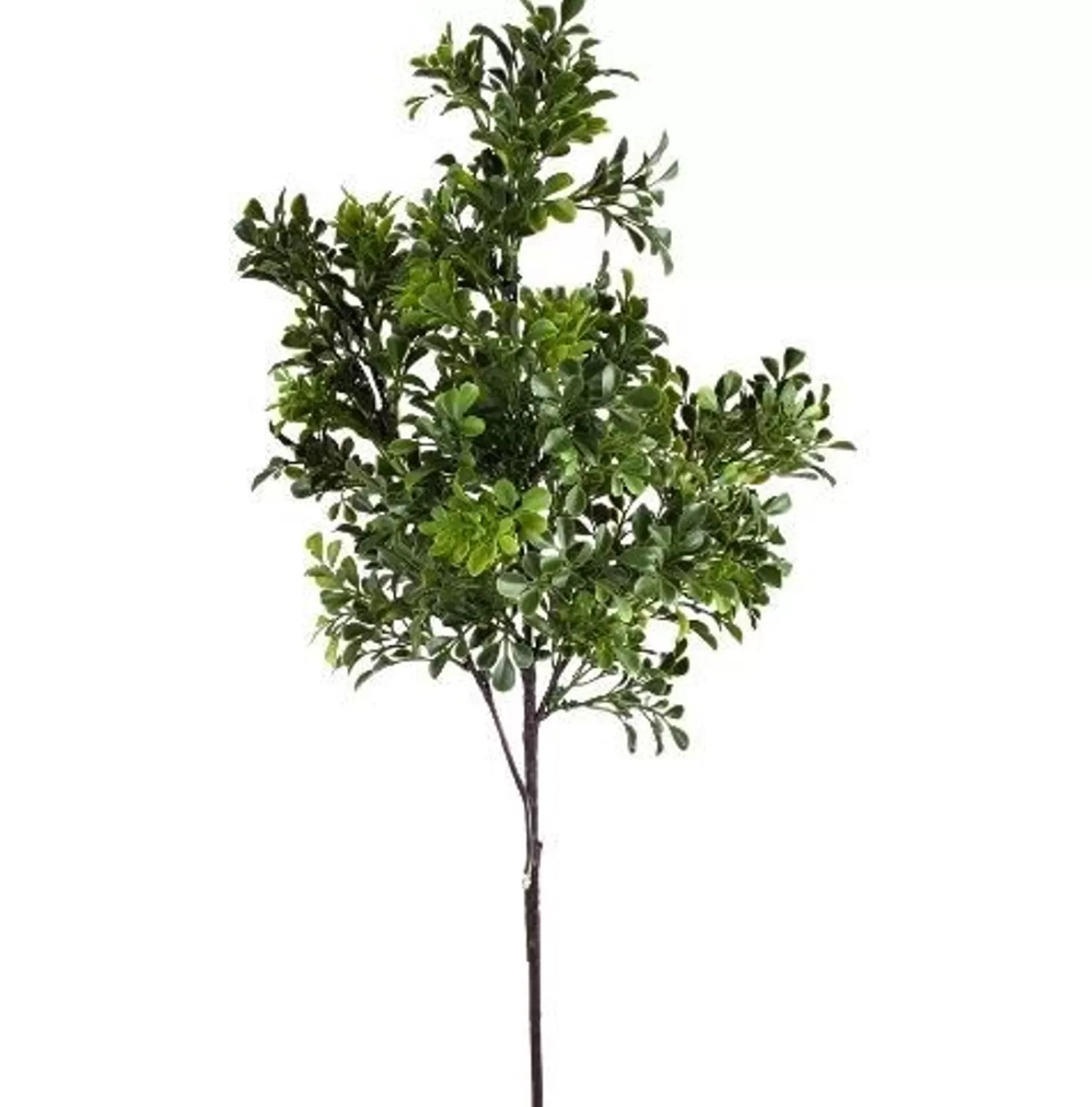 Online Treetime Boxwood Spray, Green 32"