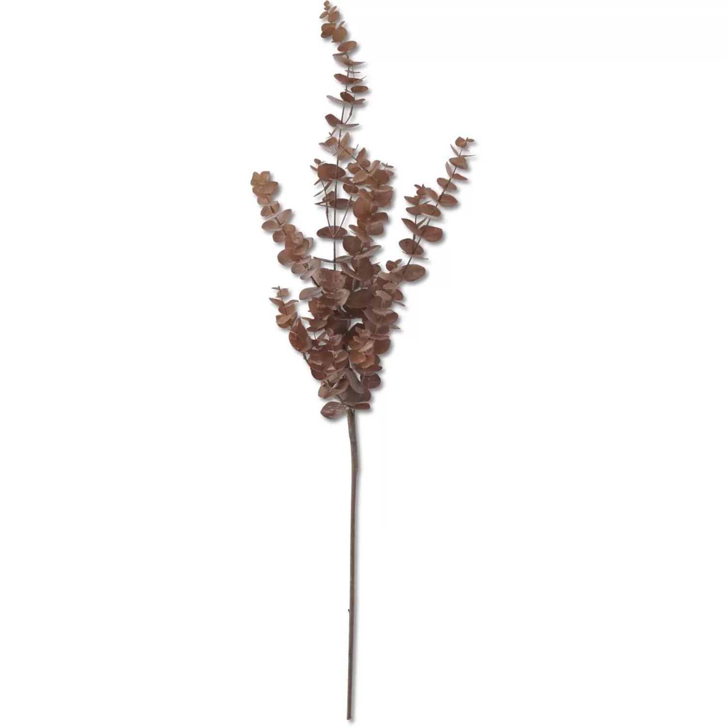 Best Treetime Brown Eucalyptus Stem 36"