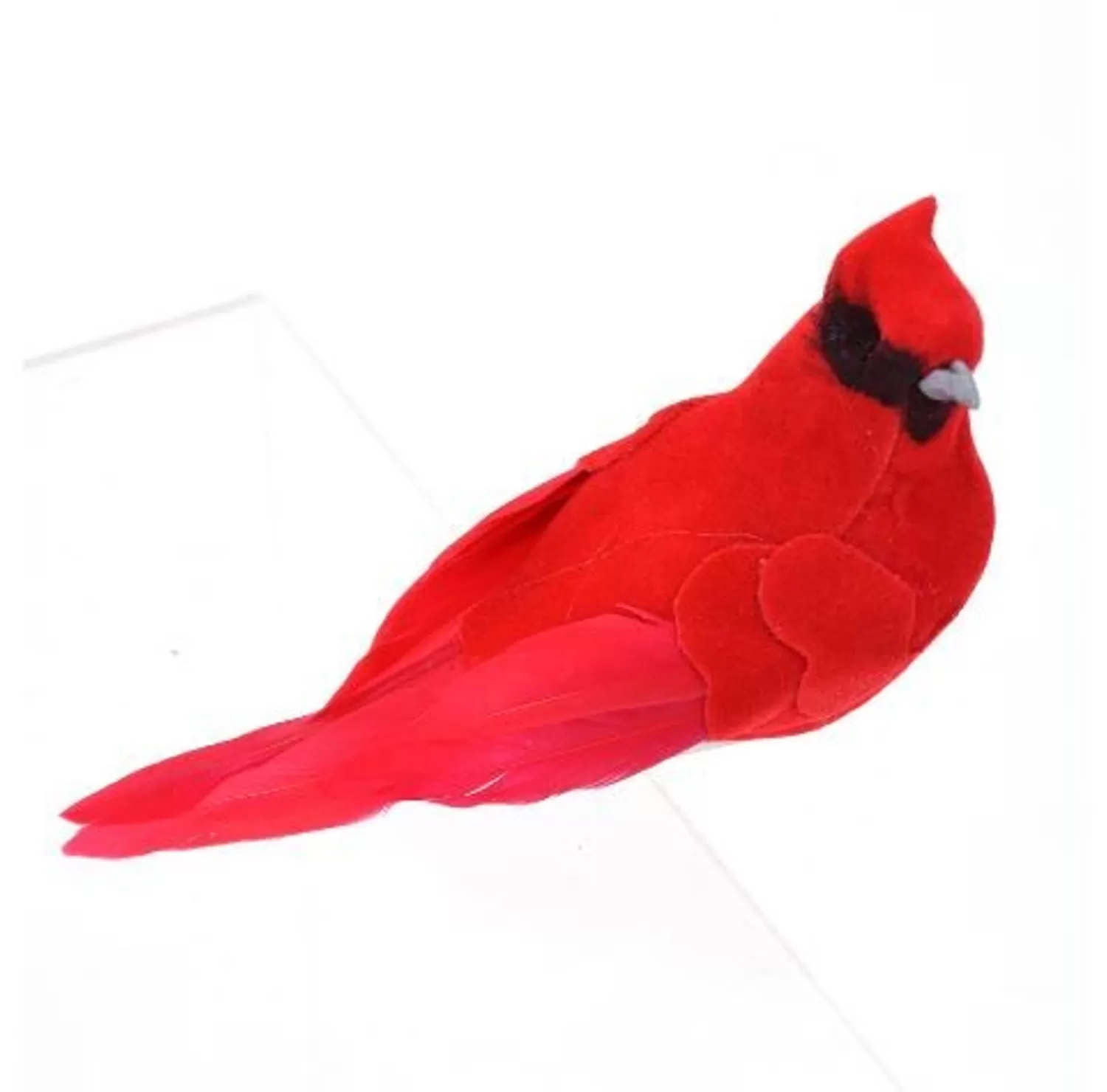 Shop Treetime CARDINAL W/CLIP 5"