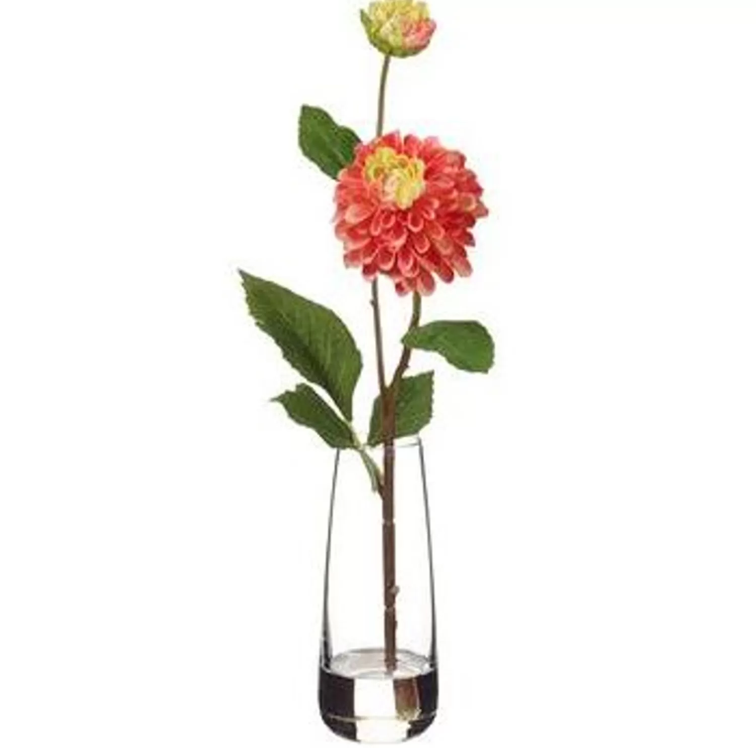 Cheap Treetime Dahlia Pick In Glass Vase