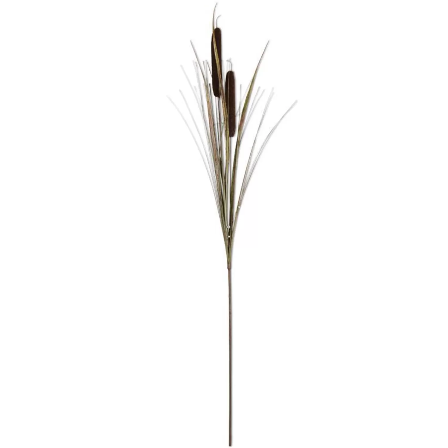 Best Sale Treetime Dark Brown Double Cattail Stem 43"