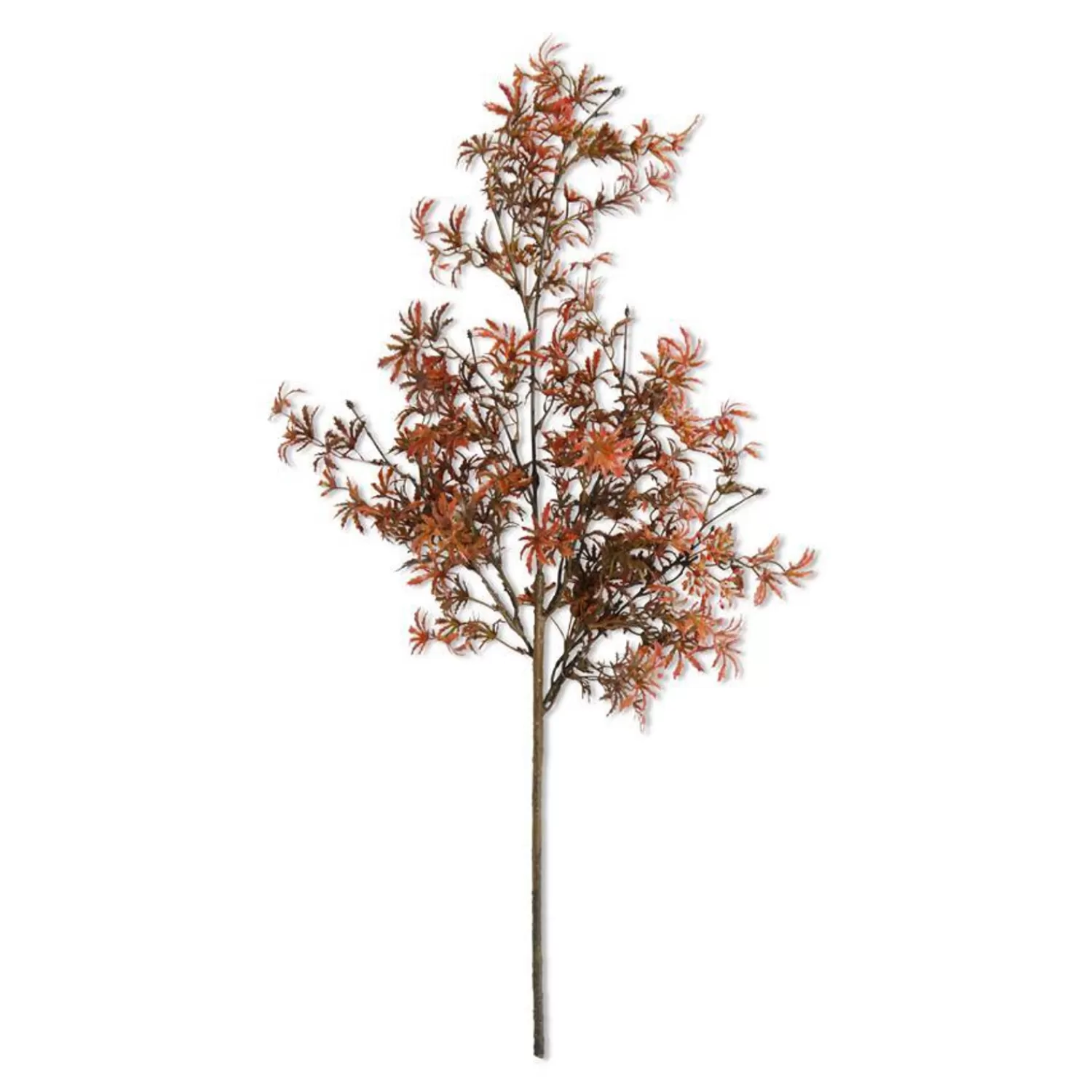 Cheap Treetime Fall Japanese Maple Stem 30"