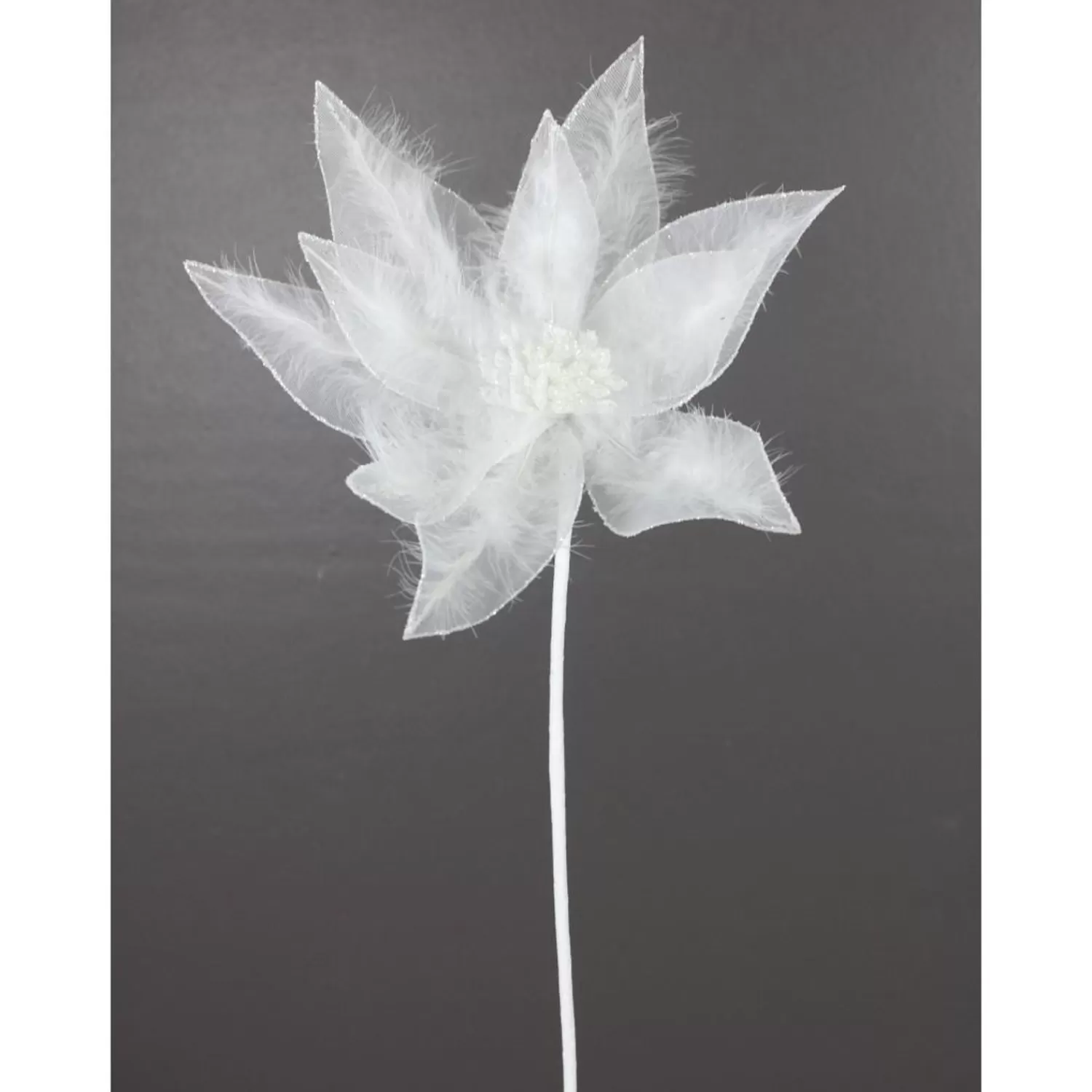 Cheap Treetime Feather White Poinsettia Stem 22"