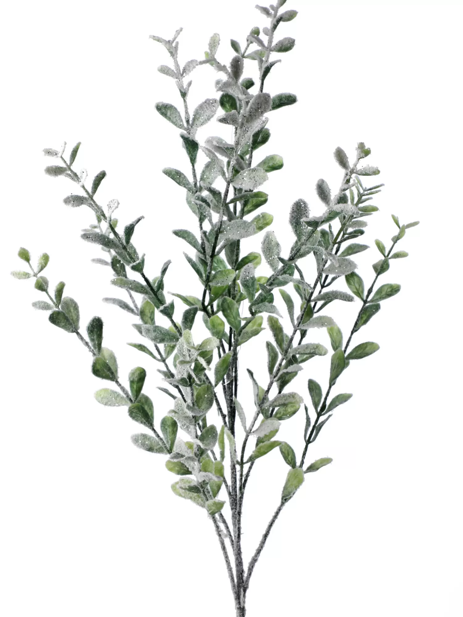 Shop Treetime Frosted Green Snowy Boxwood Spray 23"