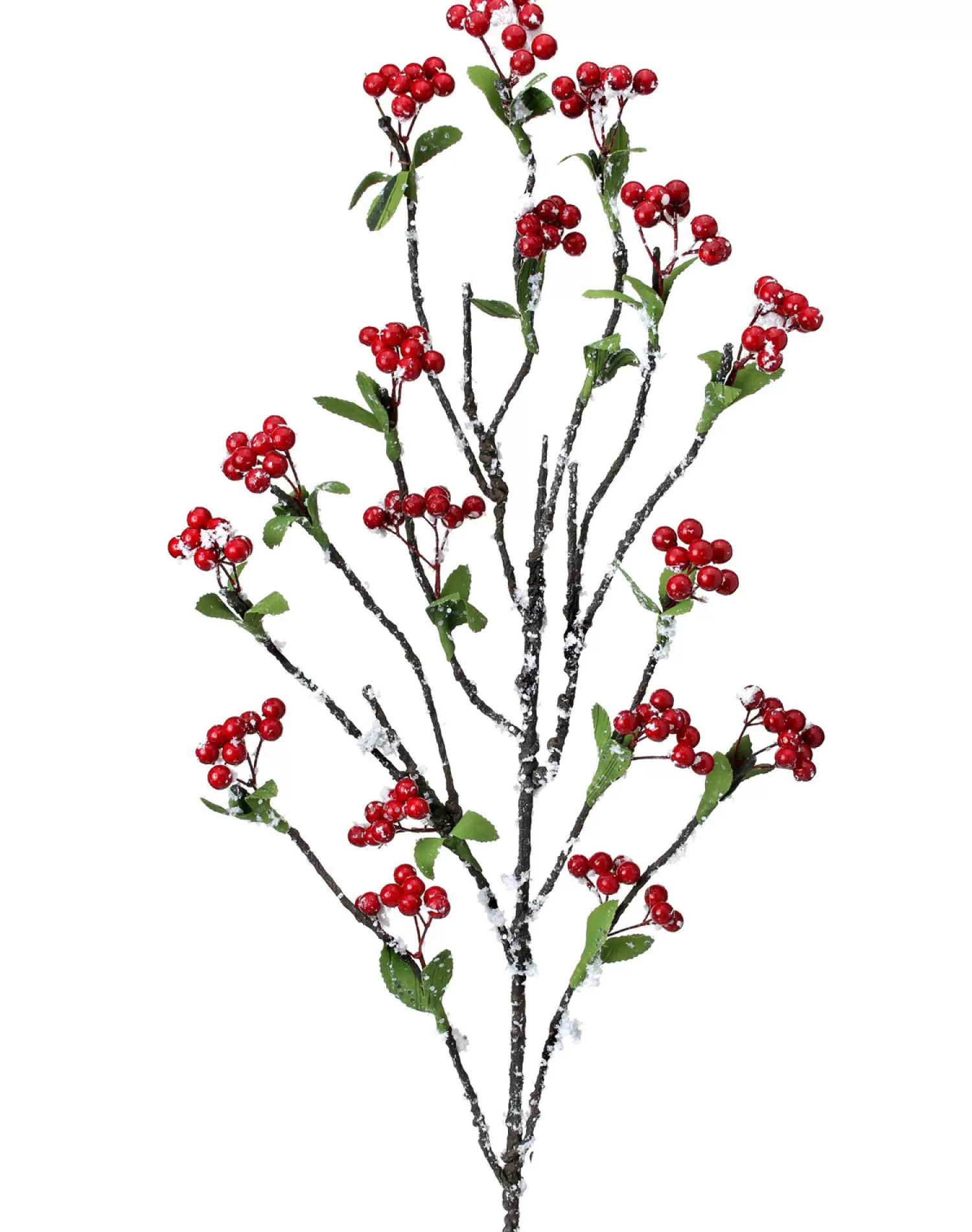 Shop Treetime Frosted Red Berry Branch With Leaves