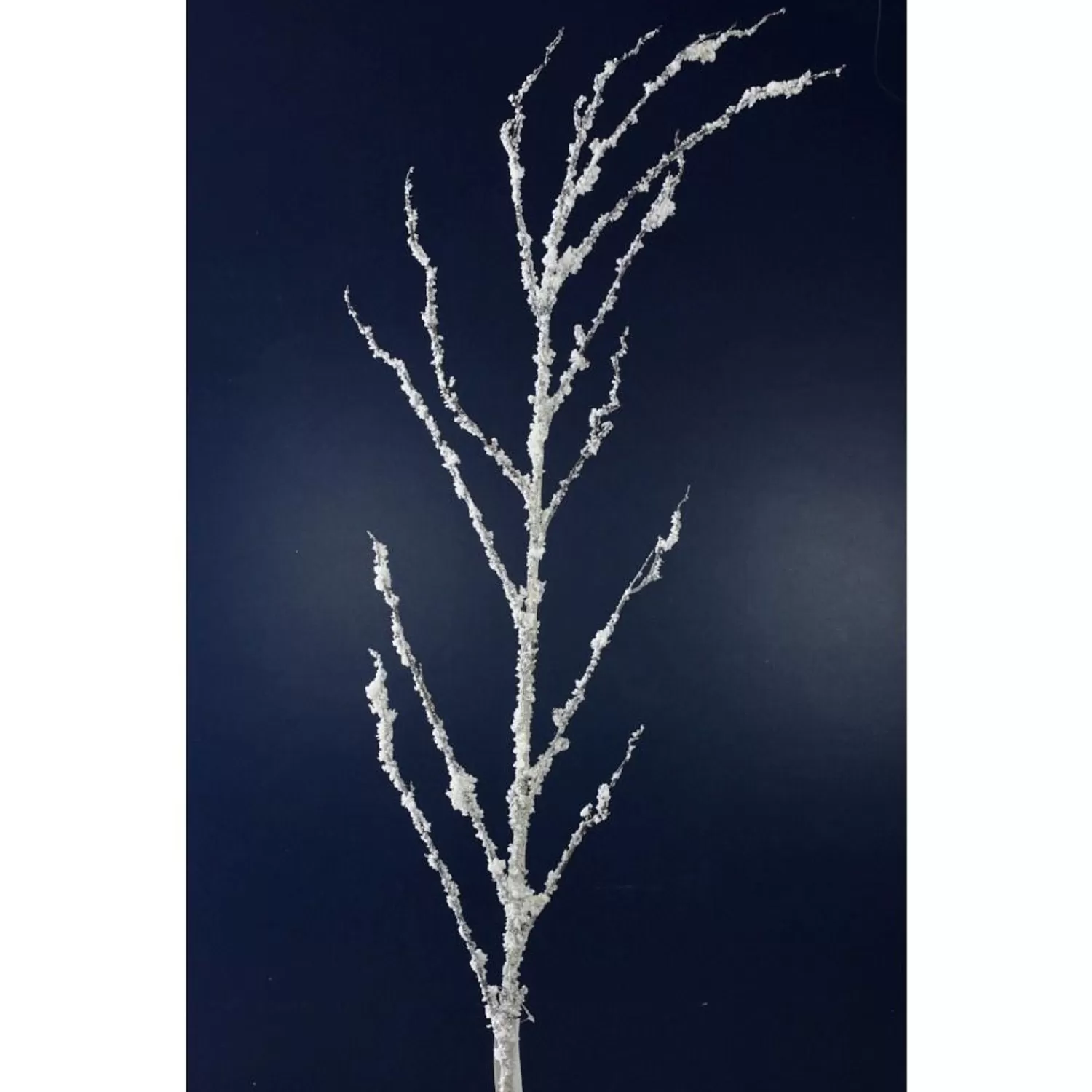 Shop Treetime Frosted Twig Branch