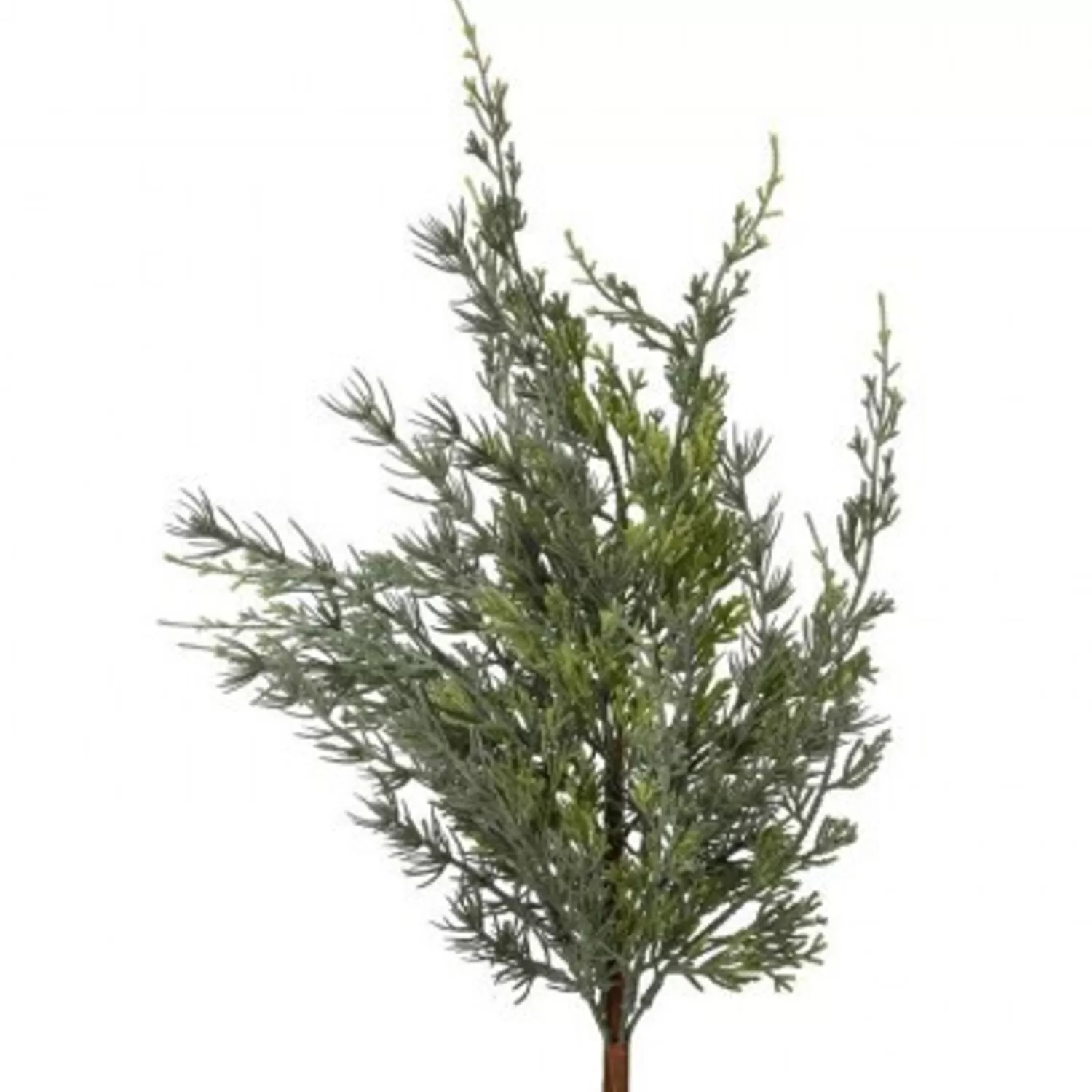 Store Treetime Grey/Grn Weeping Cypress Spray 24"