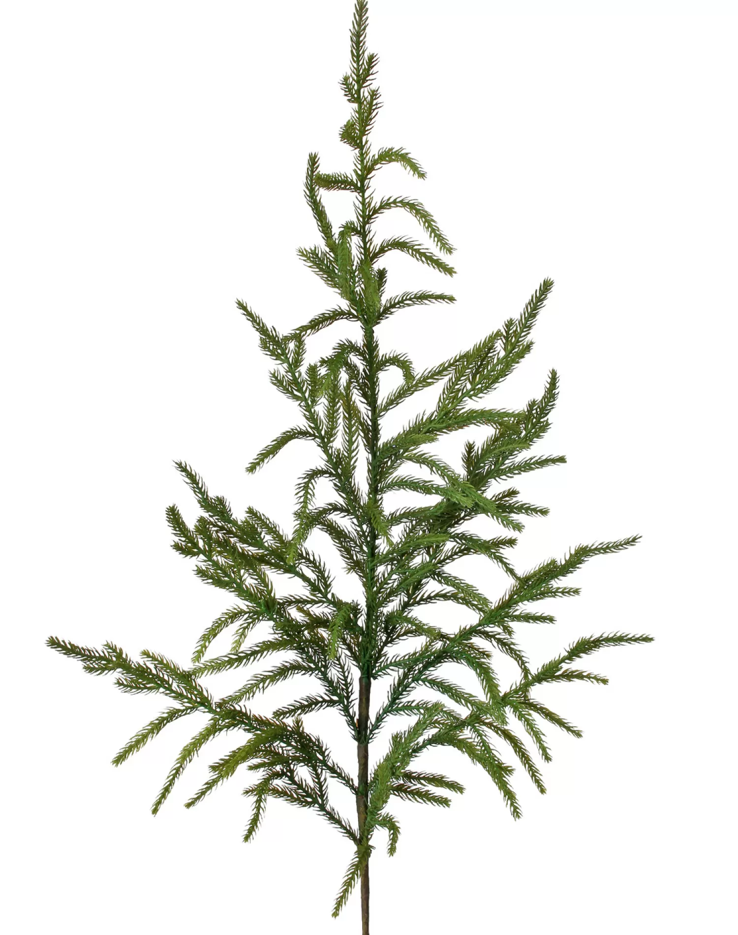 Flash Sale Treetime Grn Natural Touch Norfolk Pine Spray 38"