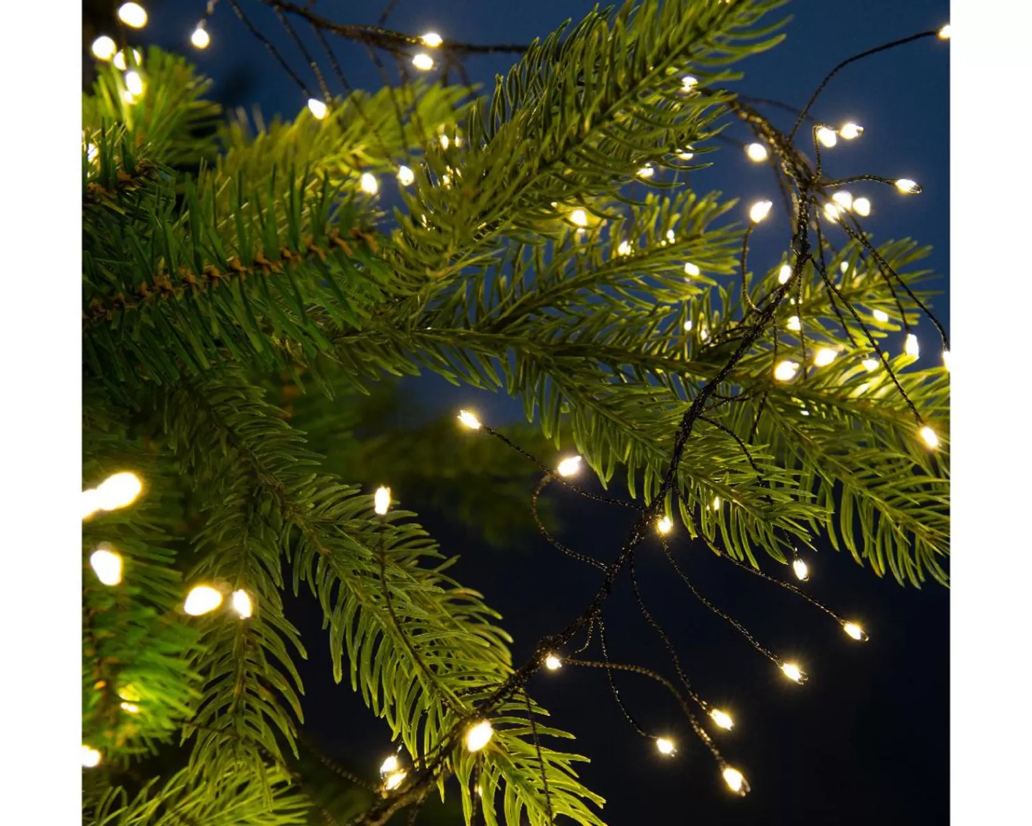 Sale Treetime LED Micro Warm White 19.7 Ft. Compact Lights On Black Wire