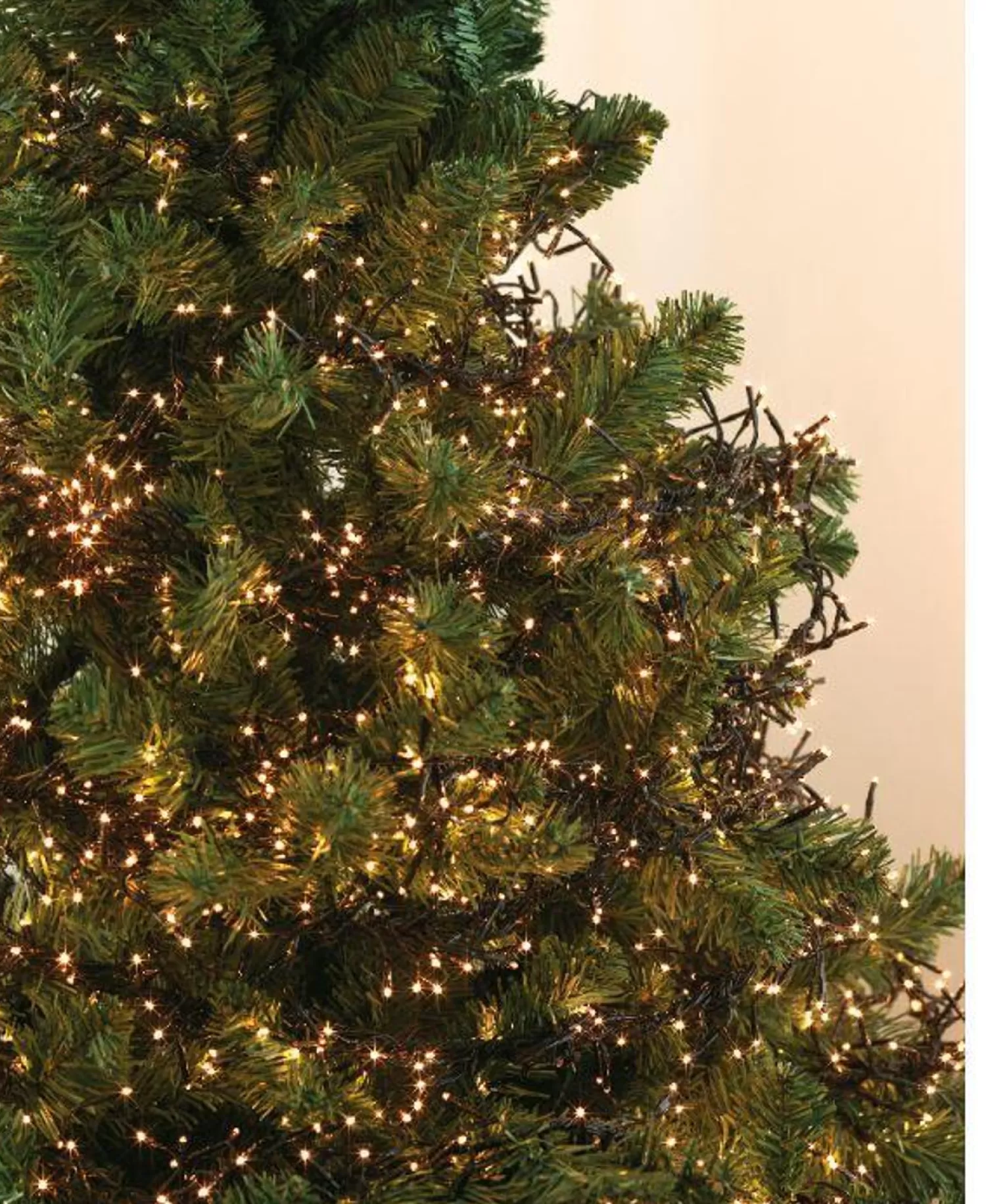 Cheap Treetime LED Warm White 10 Ft. Cluster Light Set With Green Wire