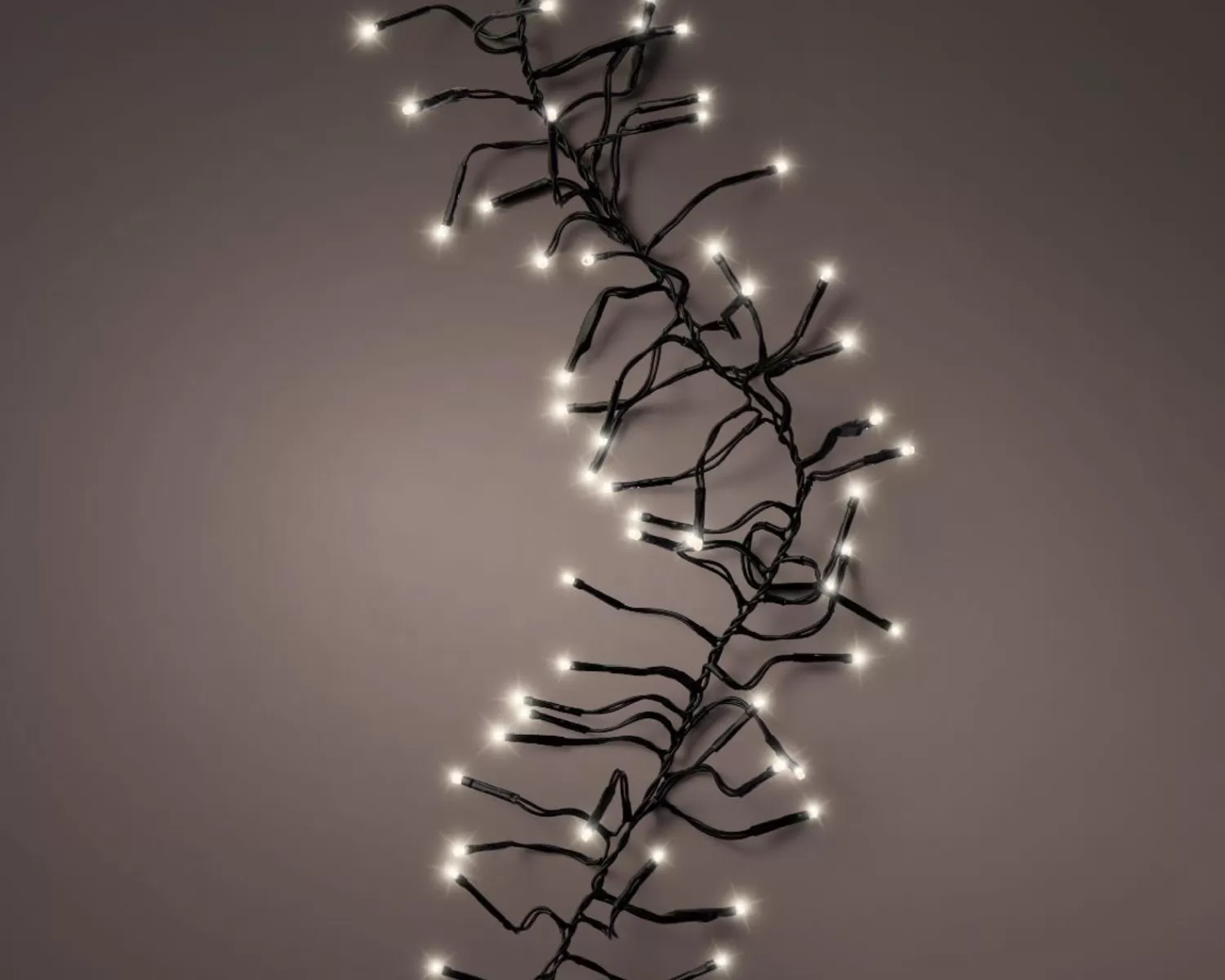 Cheap Treetime LED Warm White 10 Ft. Cluster Light Set With Green Wire