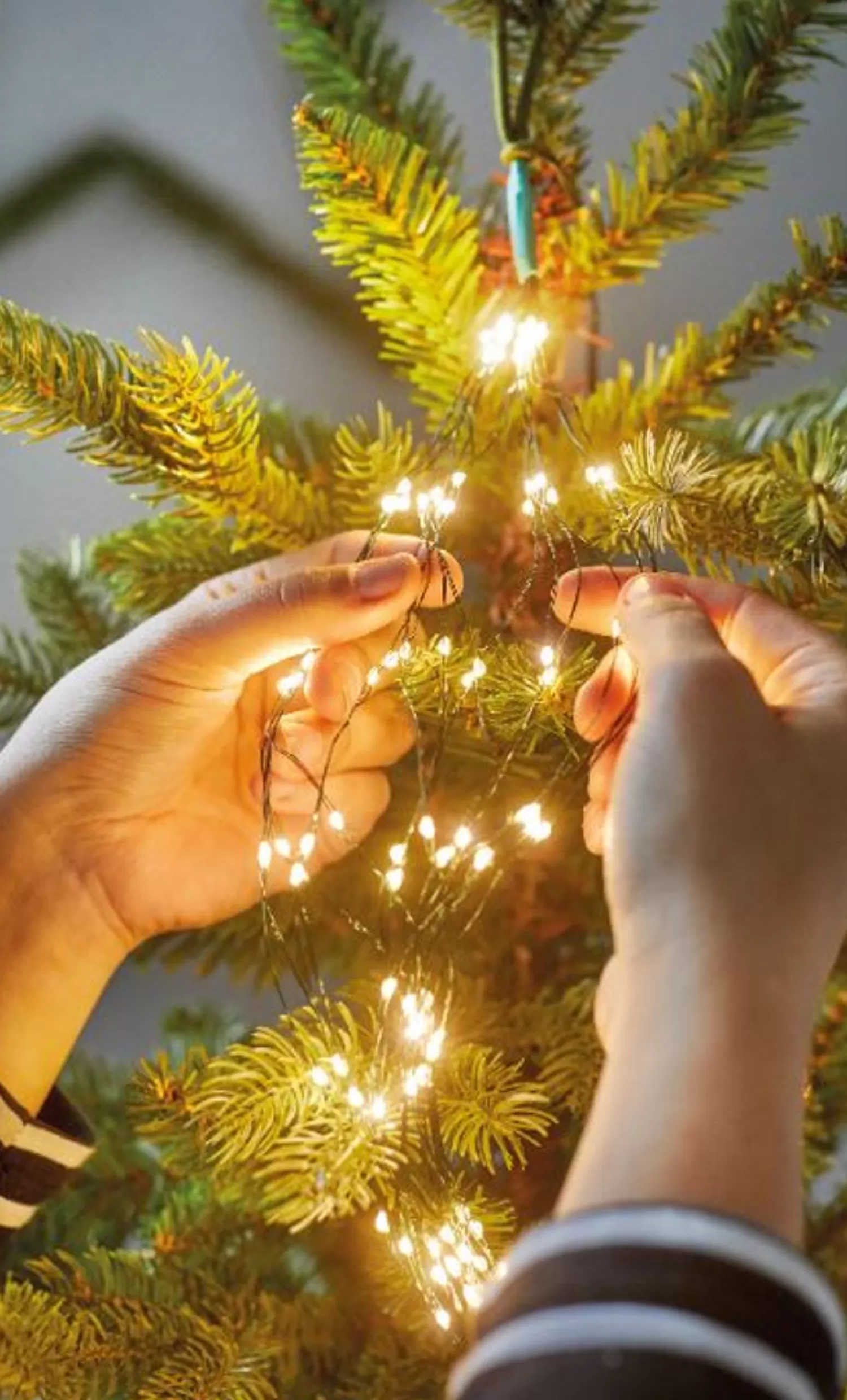 Clearance Treetime Micro LED Tree Bunch 7 Ft. Flashing Warm White Lights