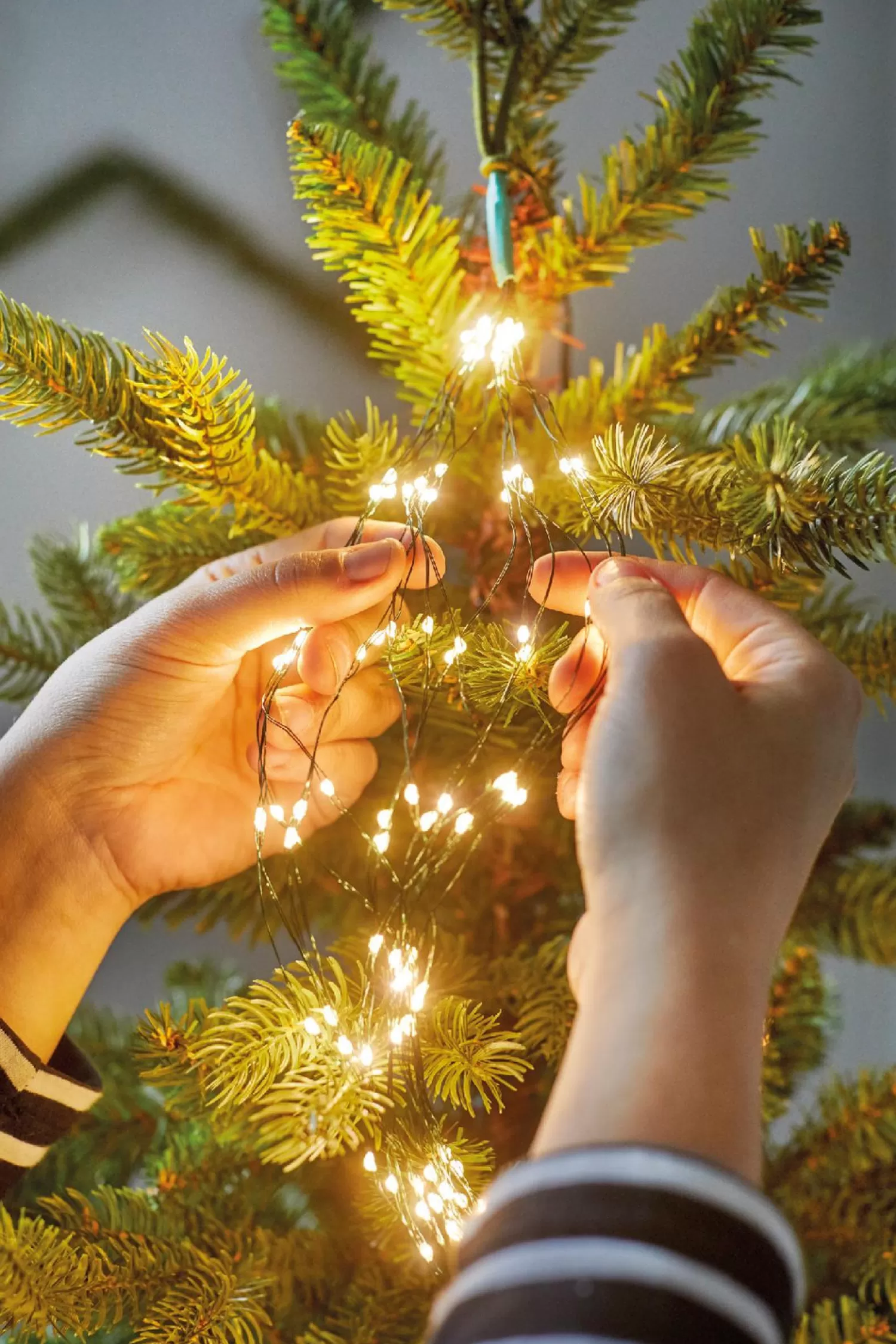 New Treetime Micro LED Tree Bunch 8 Ft. Steady On Multi Lights