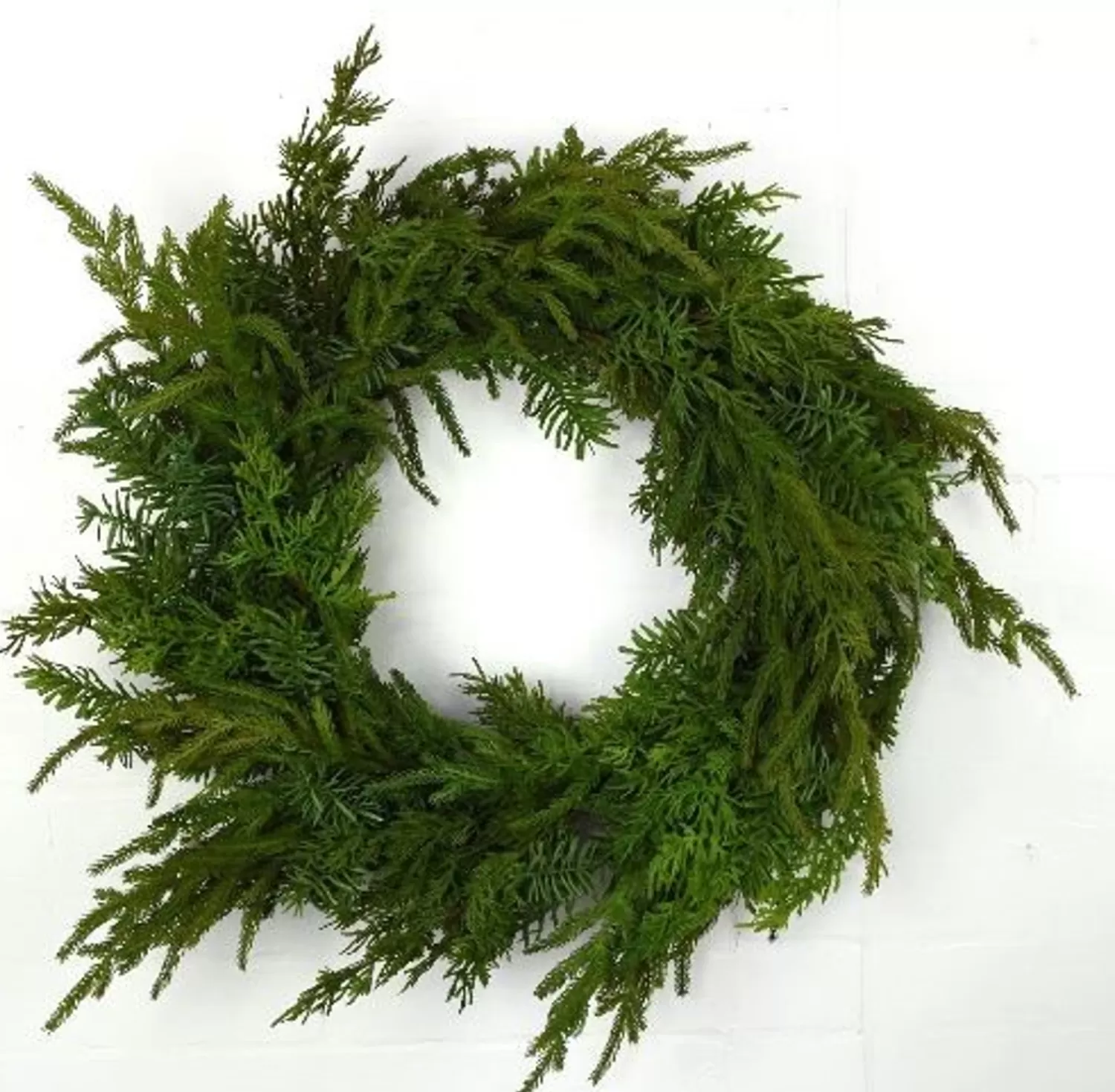 Store Treetime Mixed Norfolk Balsam Wreath 24"