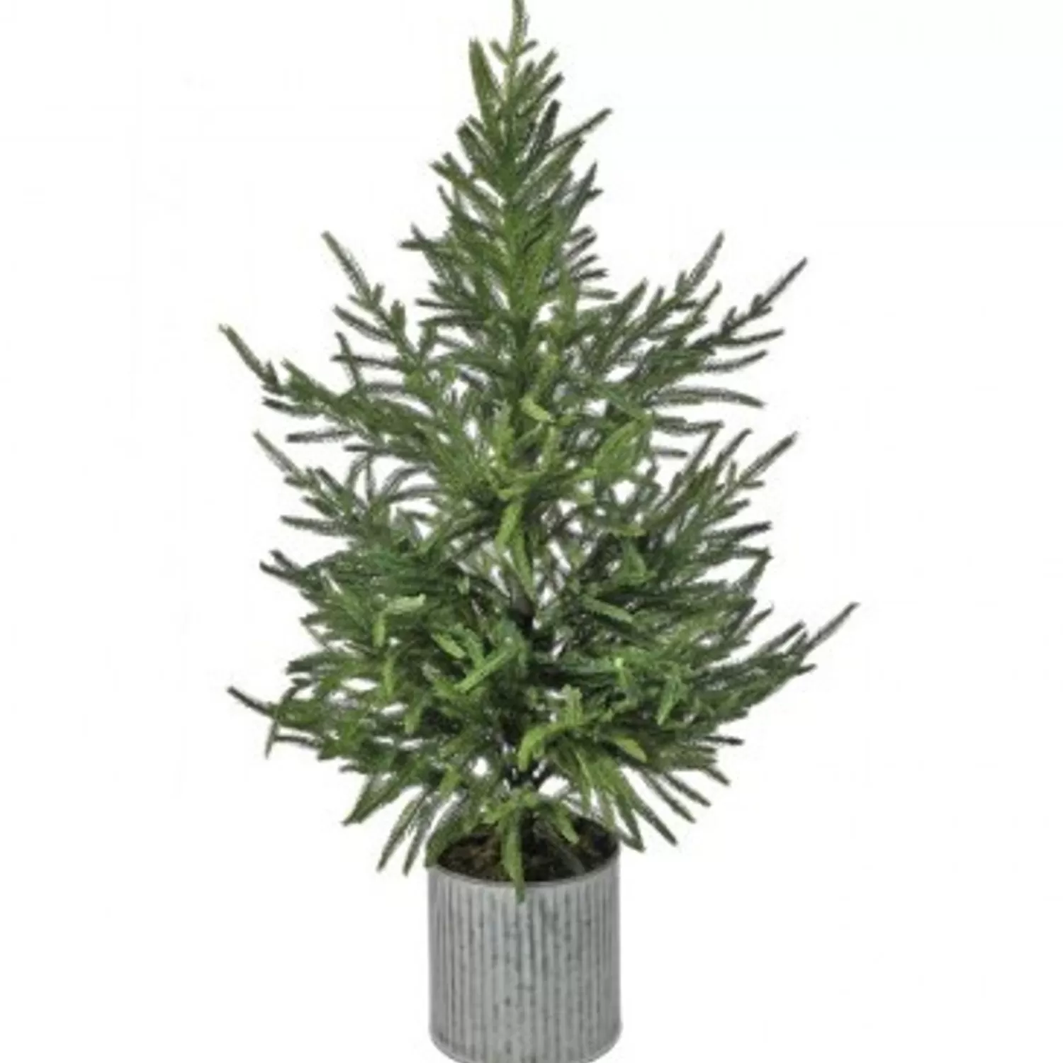 Fashion Treetime Nat/Grn Potted Norfolk Pine Tree 36"