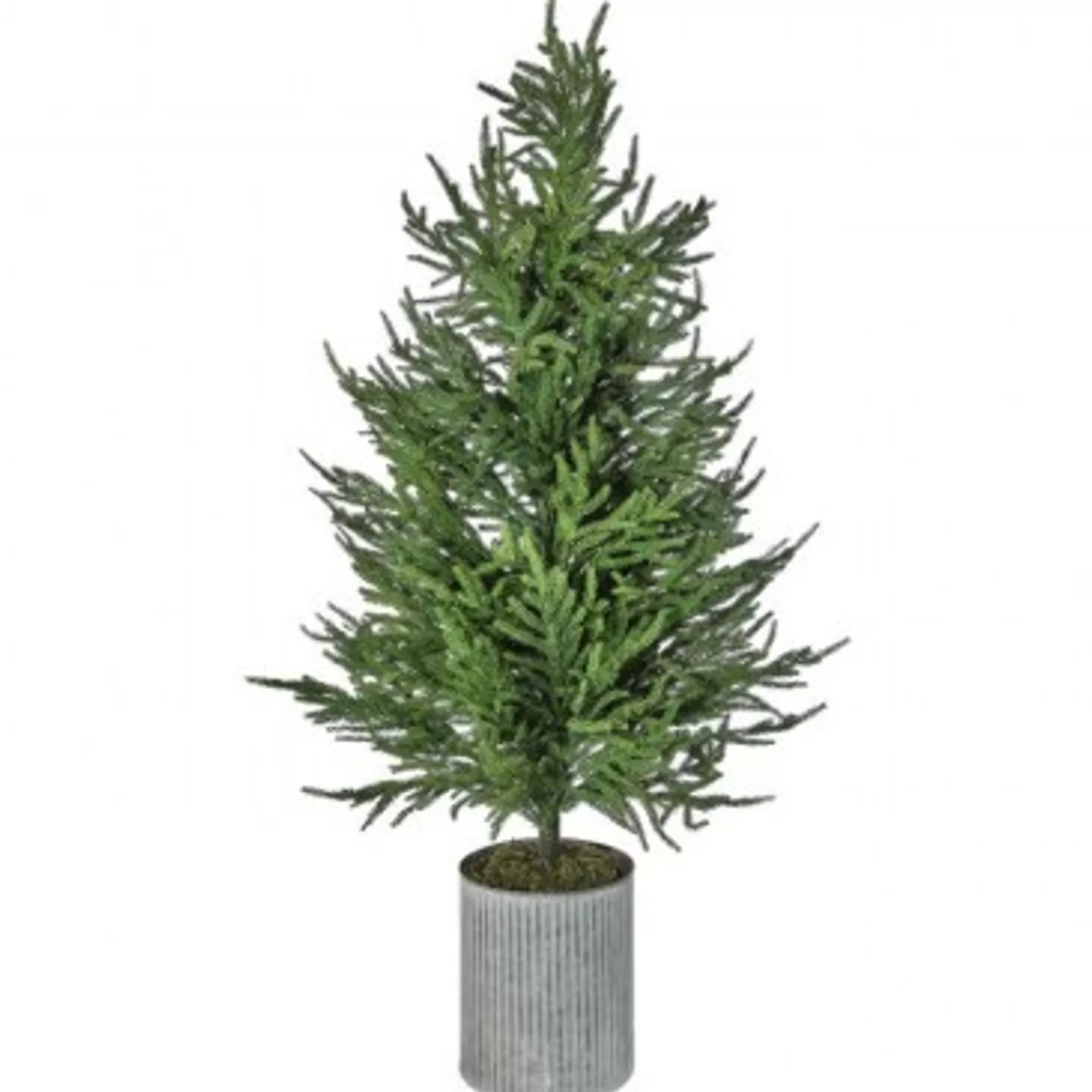 Discount Treetime Nat/Grn Potted Norfolk Pine Tree 50"