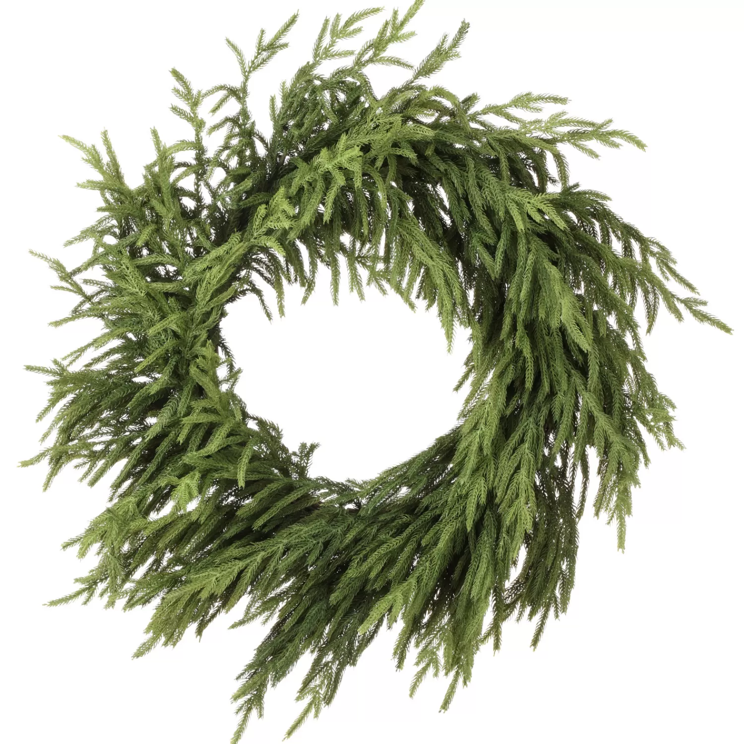 Online Treetime Norfolk Pine Wreath30"