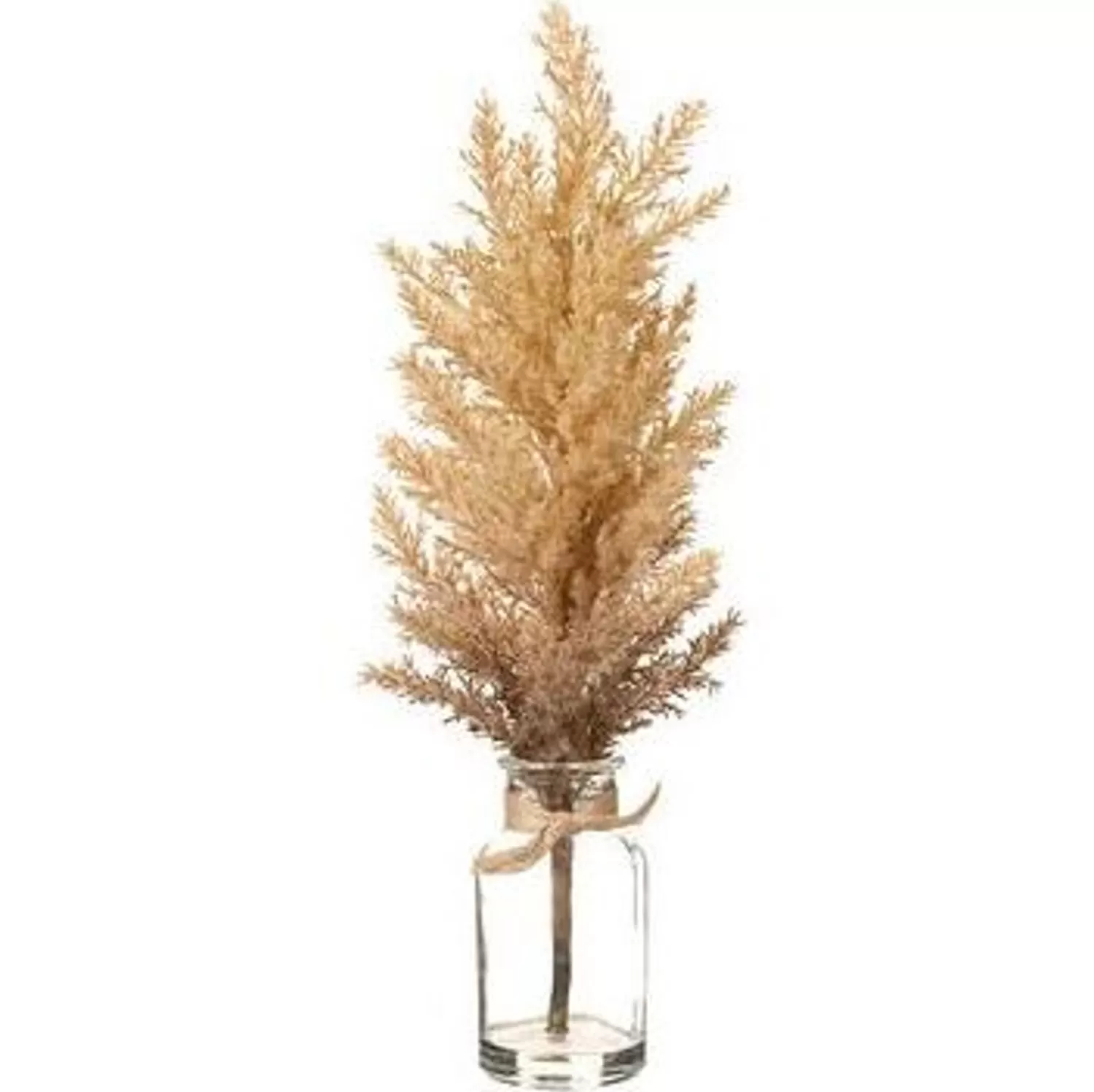 Cheap Treetime Pampas Grass In Glass Vase