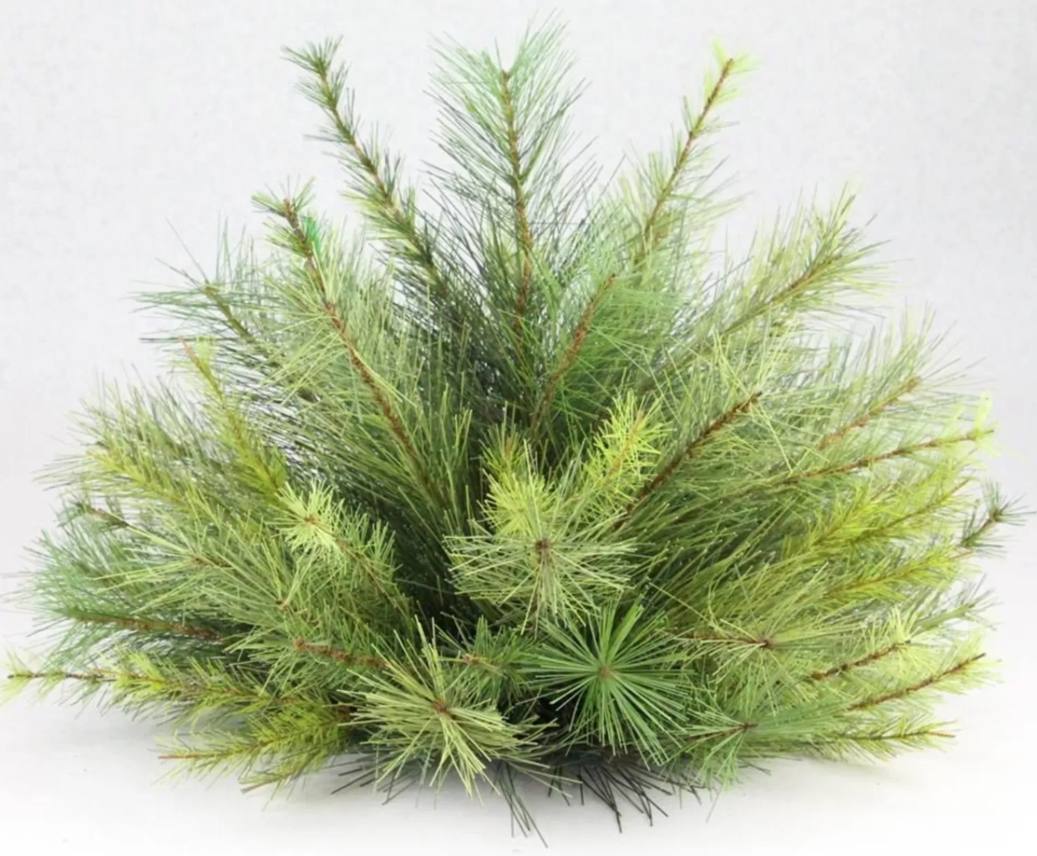 Shop Treetime Pine Ball Poof Green 18"