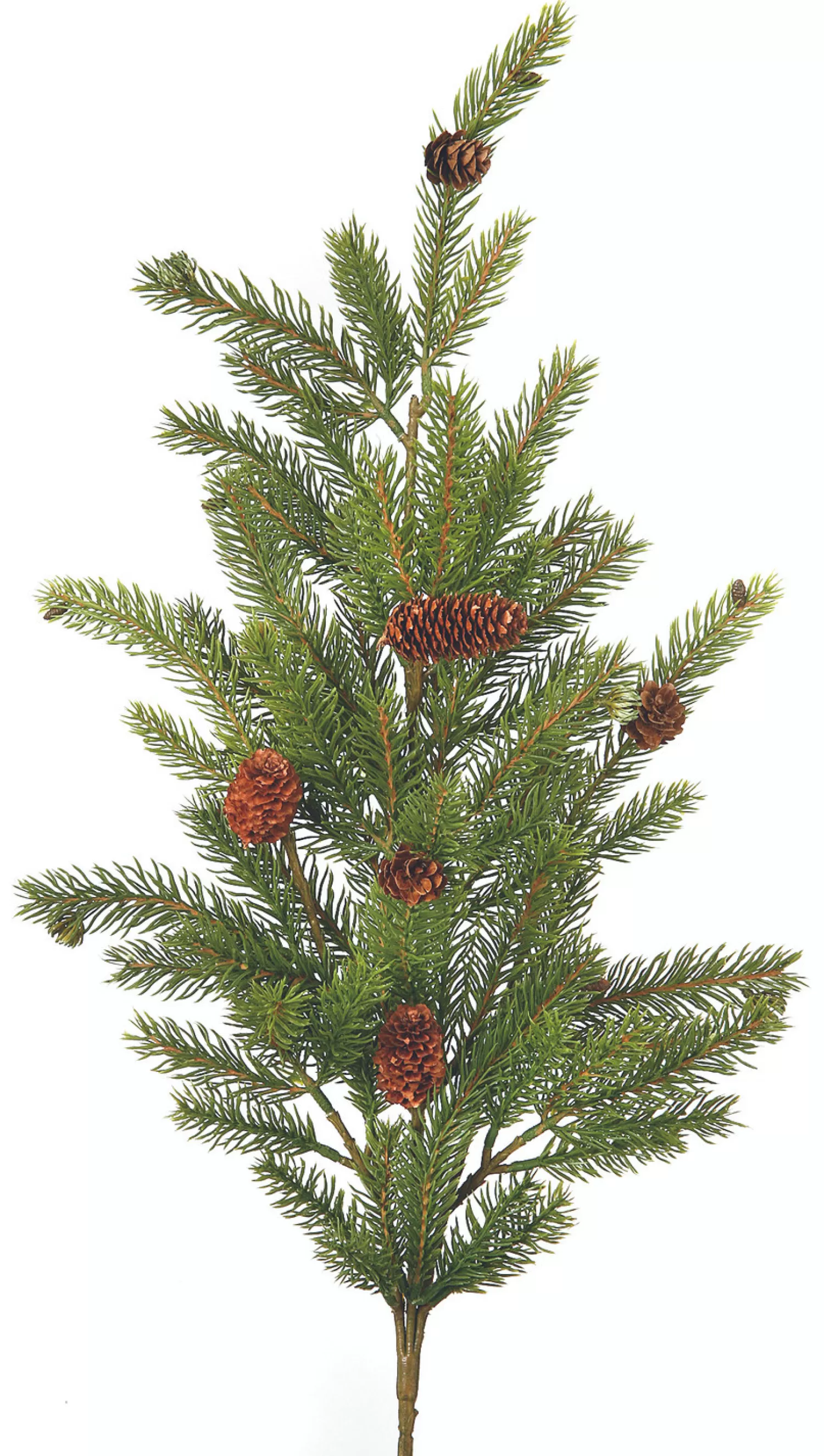 Online Treetime Plastic White Spruce With Cones Spray 29"