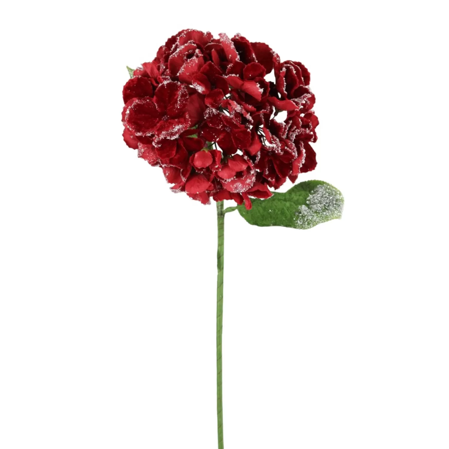 Cheap Treetime Red Frosted Hydrangea Stem