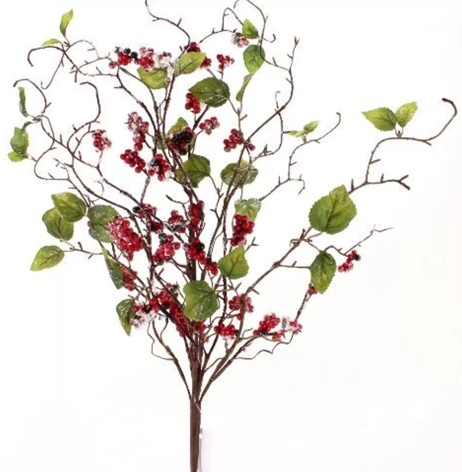 Online Treetime Red/Grn Frosted Viburnum Berry Bush 30"