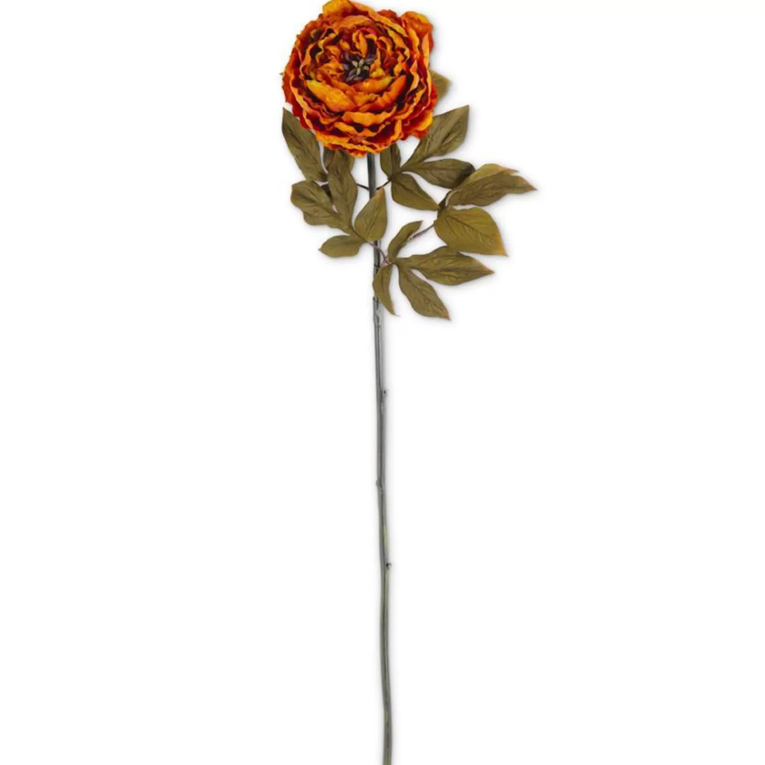 Cheap Treetime Rusty Orange Peony Stem
