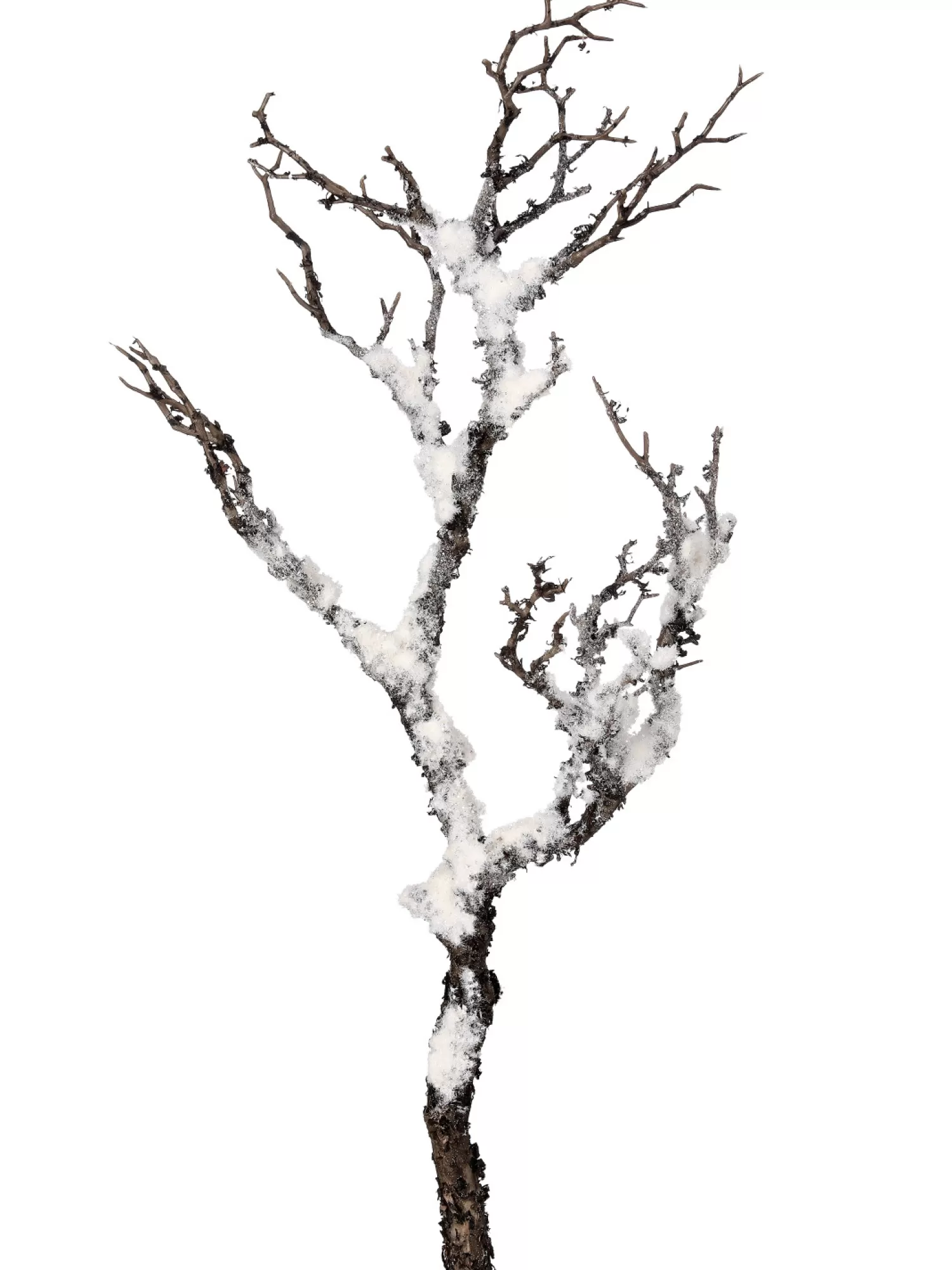 Cheap Treetime Snowy Faux "Manzanita" Stem 27"