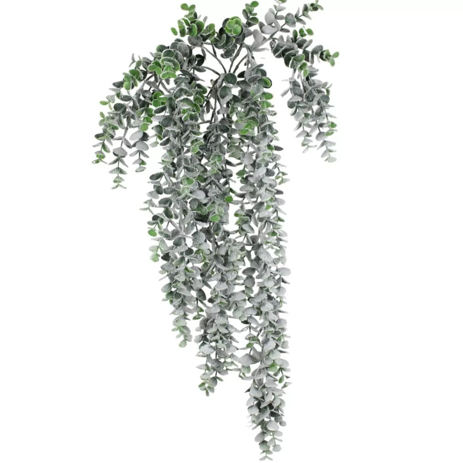 Cheap Treetime Snowy Green Eucalyptus Hanging Bush