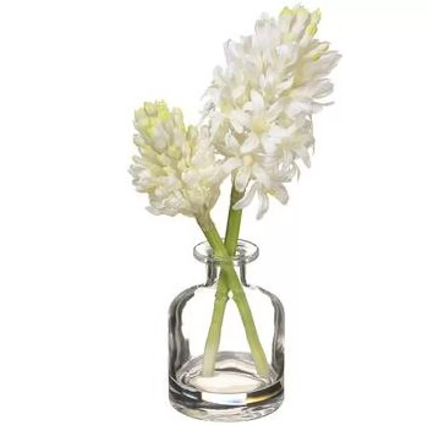 Best Sale Treetime White Hyacinth In Glass Vase